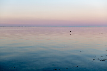 Smooth water surface to the horizon in soft dawn light with blue and orange colors.