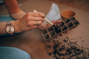 Woman taking care of plants at her home. Gardening concept.