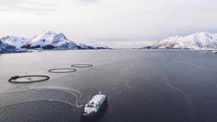 Salmon fish farming in Norway sea. Food industry, traditional craft production, environmental...