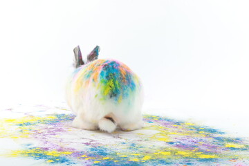 Bunte Hasen