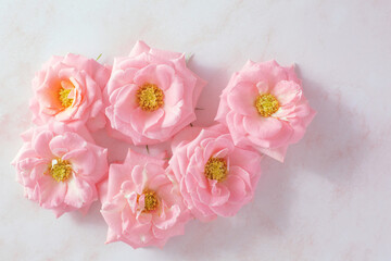 Fototapeta na wymiar bouquet of pink roses on pink marble floor