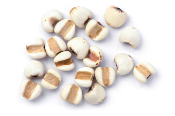 White Job's tears ( Adlay millet or  pearl millet ) isolated on white 