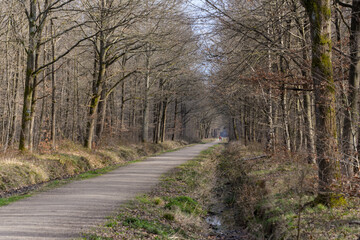 Randonneurs, forêt domaniale de Sénart, 91, Essonne