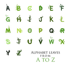 English alphabet. Set of letters decorated with green leaves. Isolated elements on a white background. Watercolor hand drawing.