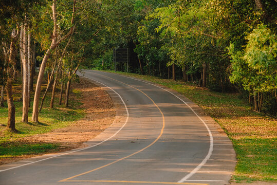 Winding mountain road in the summer in the forest in Khao yai National Park in the Nakhonratchasima, Thailand.