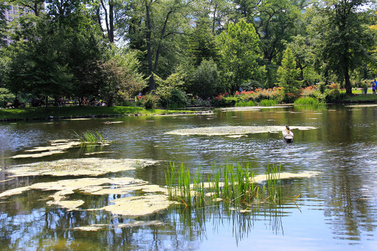 Halifax Canada, Nova Scotia beautiful pond