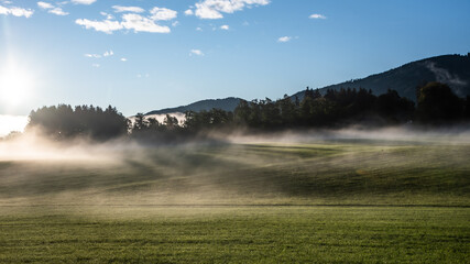 Morgennebel