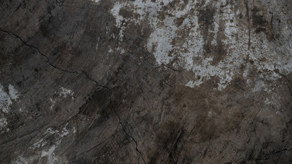 Fototapeta premium Texture of old gray background.