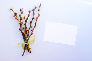 flowers on white background