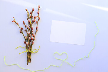 spring background with place for text