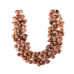 letter U. flatlay of whole unpeeled hazelnut. isolated on the white background