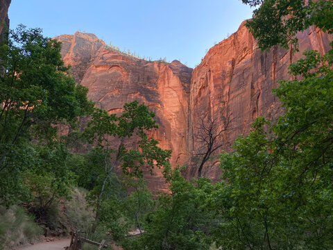 Dramatic canon walls, Zion National Park, Utah, USA