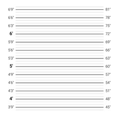 Mugshot background. Police lineup wall with an imperial units scale