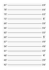 Mugshot background. Police lineup wall. Mug-shot measuring scale