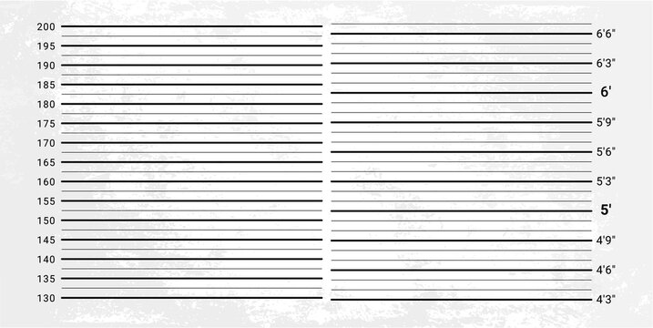 Mugshot background. Police wall with height measuring scale
