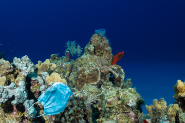 Carelessly discarded PPE equipment used during the coronavirus pandemic has found its way onto a tropical reef and is damaging the environment. 