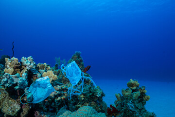 Carelessly discarded PPE equipment used during the coronavirus pandemic has found its way onto a...