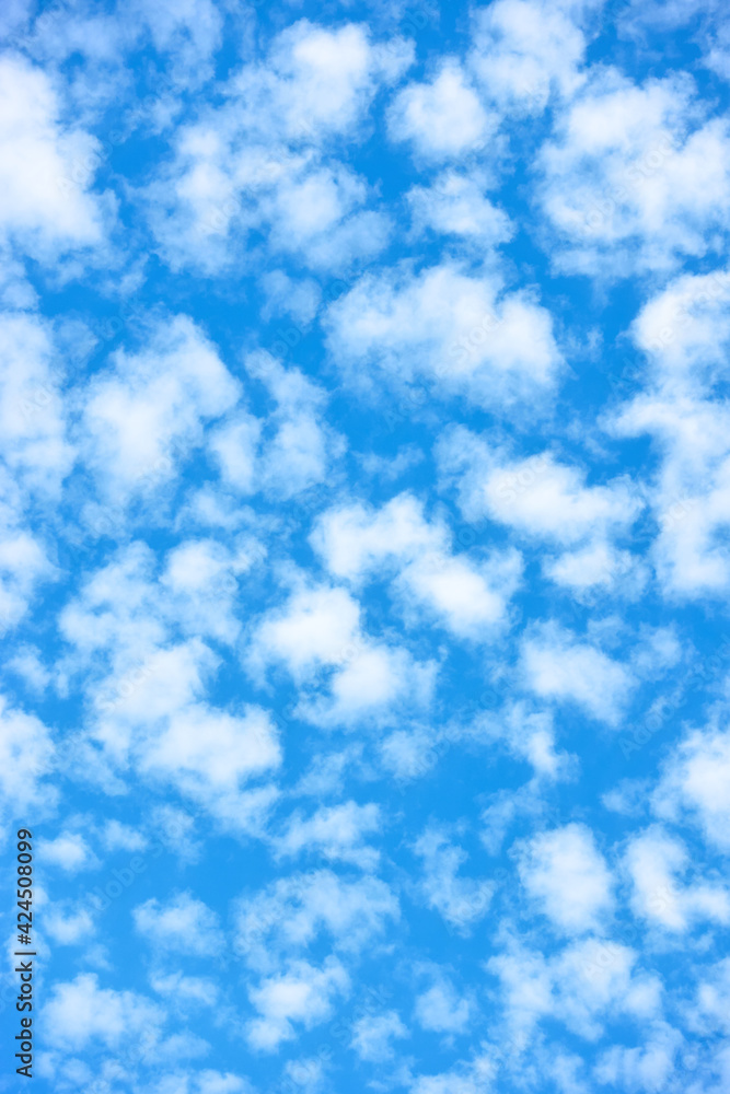 Canvas Prints sky and clouds - background