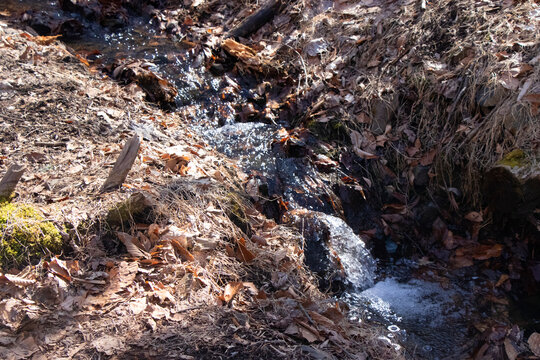 Watchung Reservation New Jersey