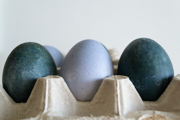 Eggs in a cardboard box are painted with natural dyes: red cabbage and hibiscus tea. Easter