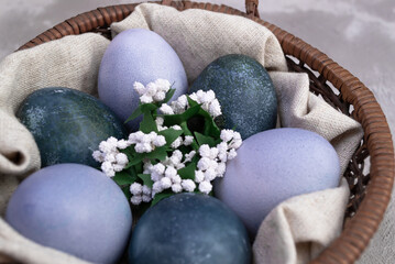 Easter eggs in a basket with artificial flowers are painted with natural dyes. Hibiscus tea and red cabbage