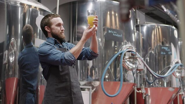 Slow-motion medium shot of professional brewery worker holding glass of fresh beer just produced at factory