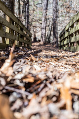 Leaf covered bridge