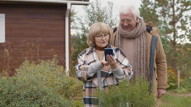 Medium shot of old Caucasian woman wearing warm casual clothes and eyeglasses standing in beautiful garden and making photos of plants using smartphone camera