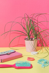 Creative arrangement against vibrant yellow and pink background.  Girls school accessories and plant.  Retro aesthetic style.
