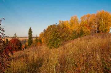 Fototapeta premium autumn landscape. view from the hill to the field, trees with yellow, red foliage