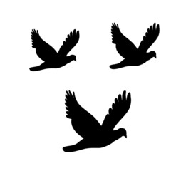 set of silhouettes of birds