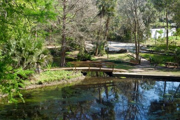Fototapeta na wymiar Ravine Gardens State Park, a Florida State Park in Palatka, Florida. Picnic areas, gardens, hiking trails, bridge and pond. 
