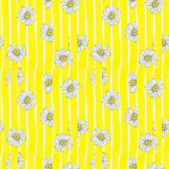 Spring, summer floral seamless pattern of white garden daisy flowers in front and behind yellow stripes. Chamomile fabric paper design. Watercolor hand painted isolated elements on white background.