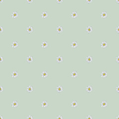 Spring, summer floral seamless pattern of small garden daisy white flowers. Chamomile fabric design. Wall paper decor. Watercolor hand painted isolated elements on light green background.
