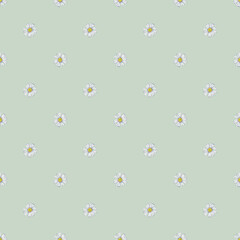 Spring, summer floral seamless pattern of small garden daisy white flowers. Chamomile fabric design. Wall paper decor. Watercolor hand painted isolated elements on light green background.