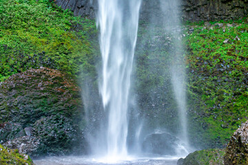 Fototapeta premium Latourell Falls along Columbia River Gorge, Oregon