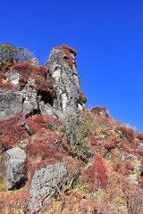 Red stony cliff with red bushes and bright blue sky