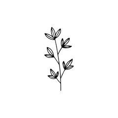 Hand drawn floral icon, vector minimalistic graphic. Branch with leaves.