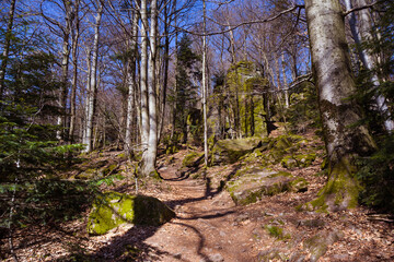 The hiking trail around the Battert mountain in Baden Baden. A really beautiful trail. Baden Wuerttemberg, Germany, Europe