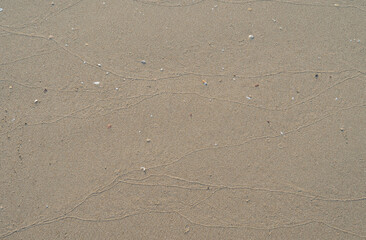 Full frame sand beach with natural pattern of sea wave left on surface, good for background.