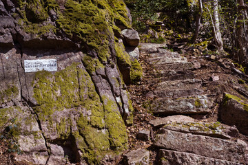 Steep hermit paths on the Battert rocks in Baden Baden. . Baden Wuerttemberg, Germany, Europe