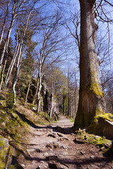 The hiking trail around the Battert mountain in Baden Baden. A really beautiful trail. Baden Wuerttemberg, Germany, Europe