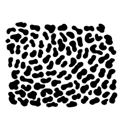 vector black and white background leopard skin pattern