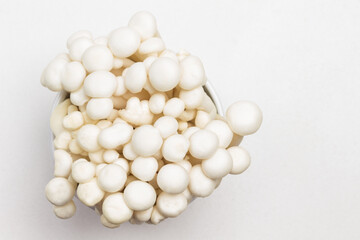 White Shimeji mushrooms close up