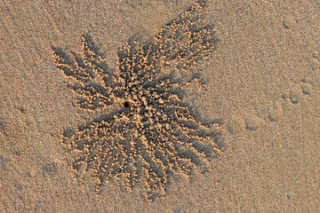 Ghost crab hole on sand beach with small natural sand balls.