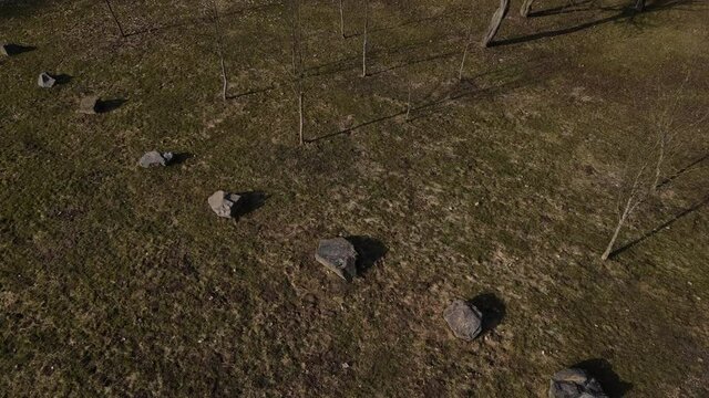Spring in Loshitsa Park. Flying over large boulders in a row. The border of an ancient settlement.
