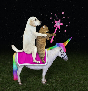 A dog labrador and a beige cat with a magic wand ride an unicorn in the meadow.