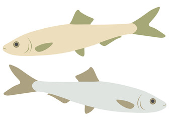 Obraz premium Sprat fish gray and beige in the set. Vector image.