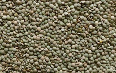 Dried Green Split Lentils background. Nutritious and Important Protein Source.  Flat lay