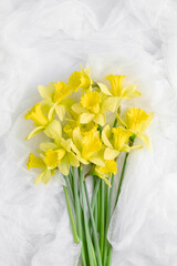 bouquet of daffodils on white flowing tulle. simple flat composition with spring flowers. holiday concept, flat lay